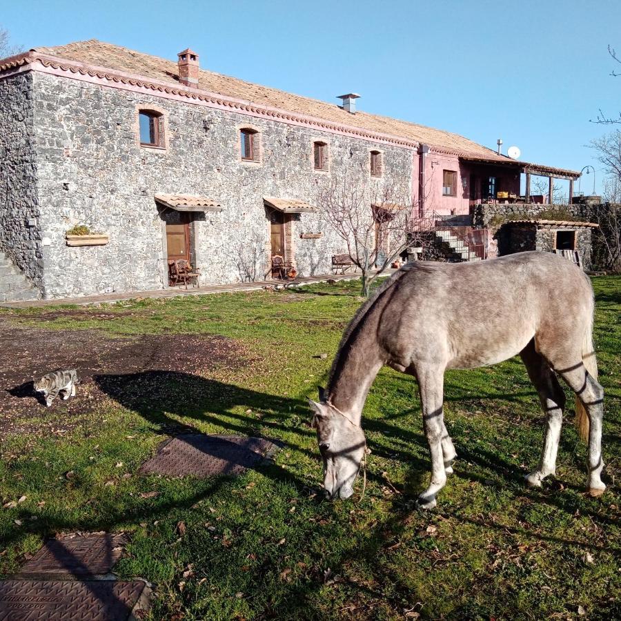 Agriturismo La Caraffara Sull' Etna Puntalazzo Exterior foto