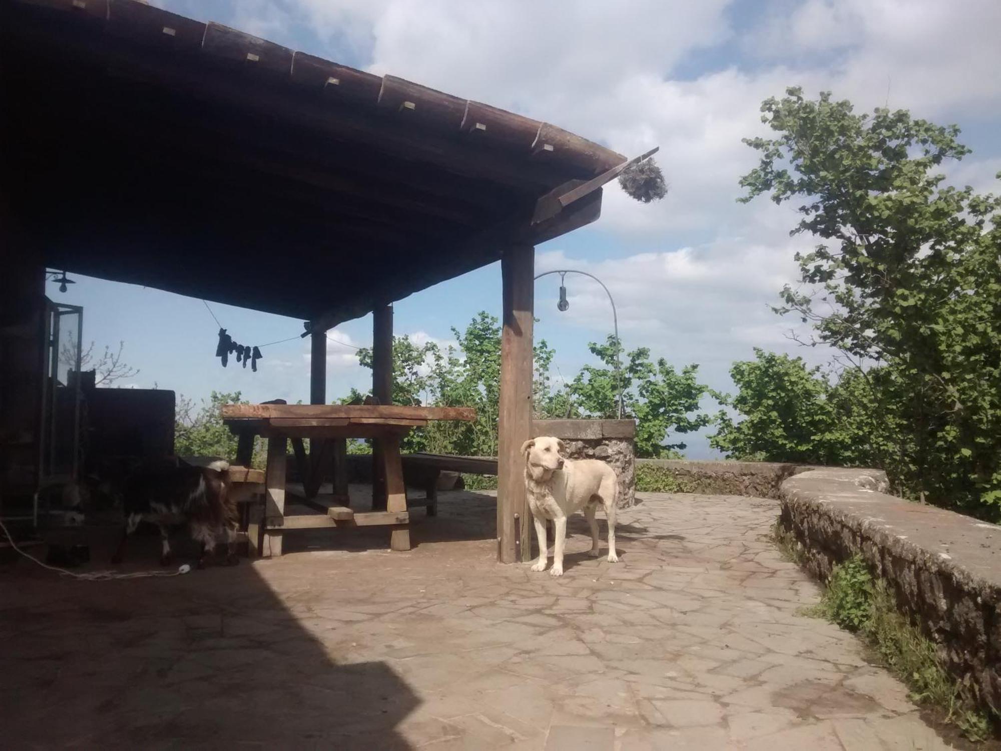 Agriturismo La Caraffara Sull' Etna Puntalazzo Exterior foto