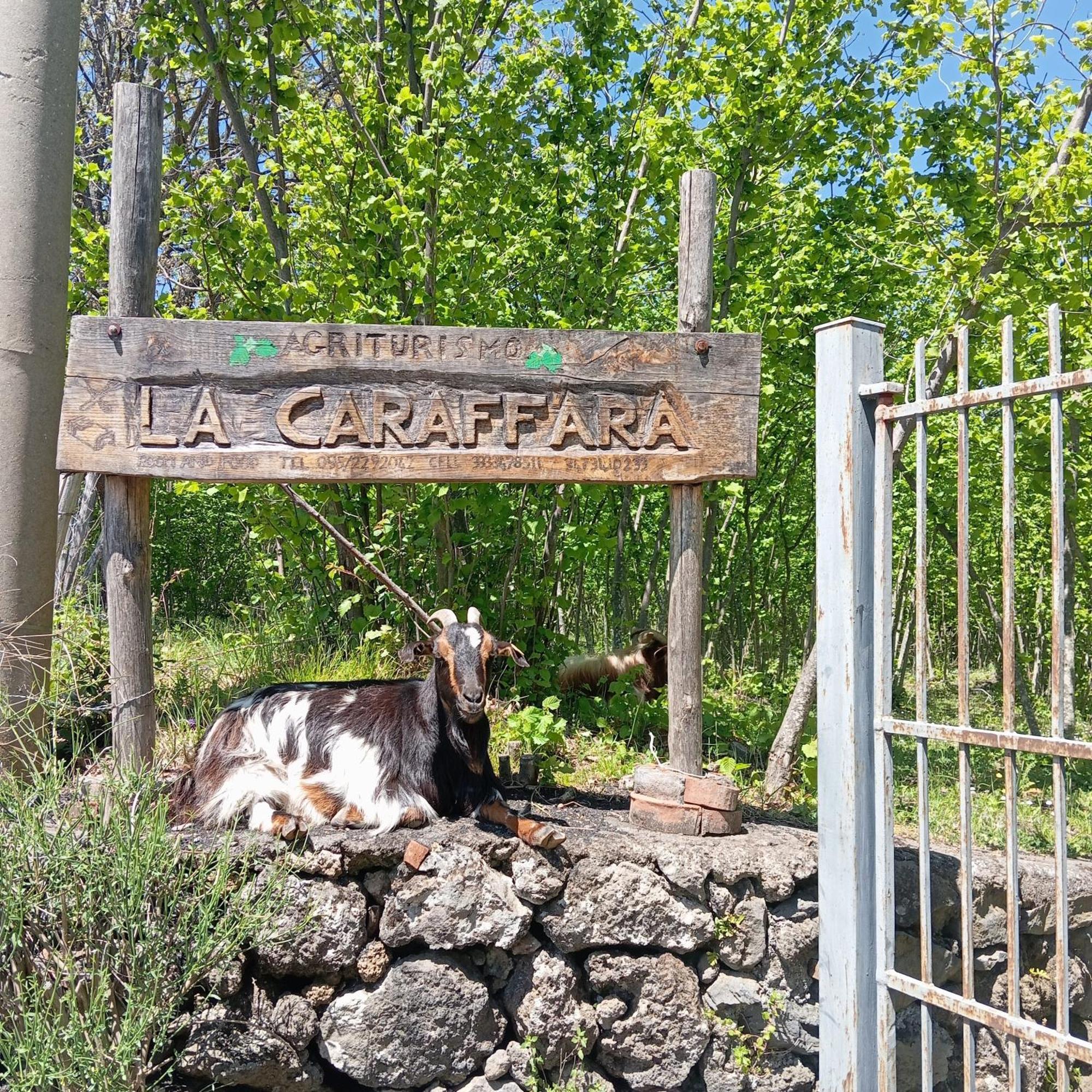 Agriturismo La Caraffara Sull' Etna Puntalazzo Exterior foto