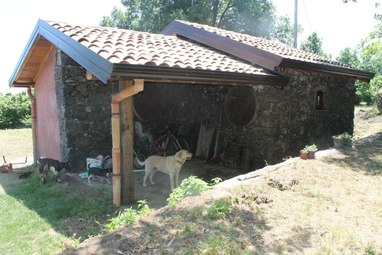 Agriturismo La Caraffara Sull' Etna Puntalazzo Exterior foto